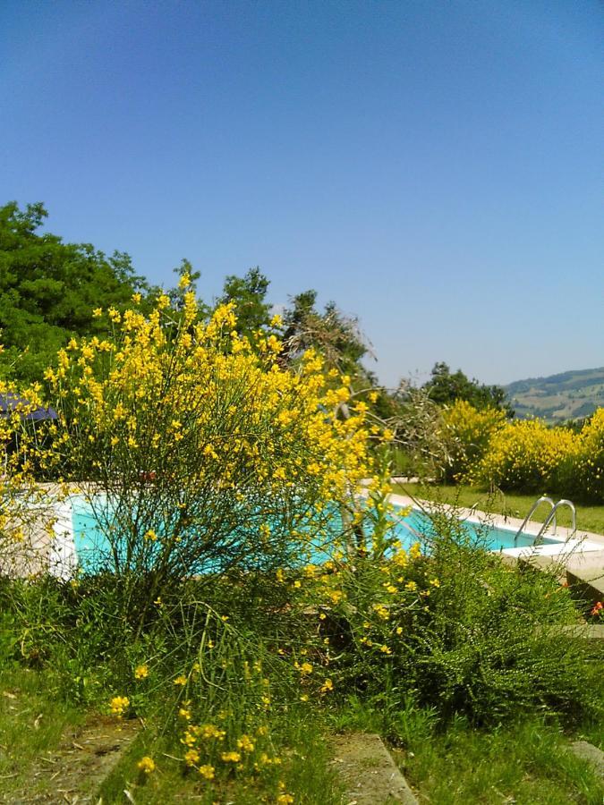 Bed And Breakfast Il Governatore Urbino Exteriér fotografie