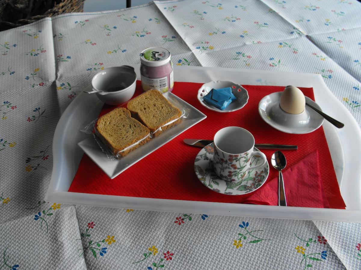Bed And Breakfast Il Governatore Urbino Exteriér fotografie