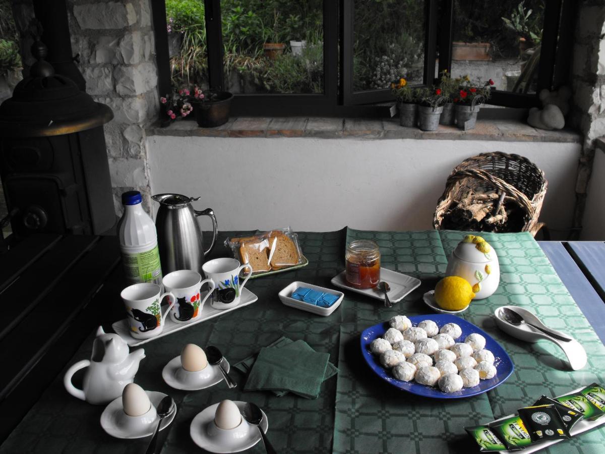 Bed And Breakfast Il Governatore Urbino Exteriér fotografie