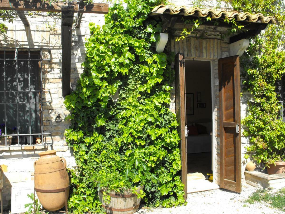 Bed And Breakfast Il Governatore Urbino Exteriér fotografie